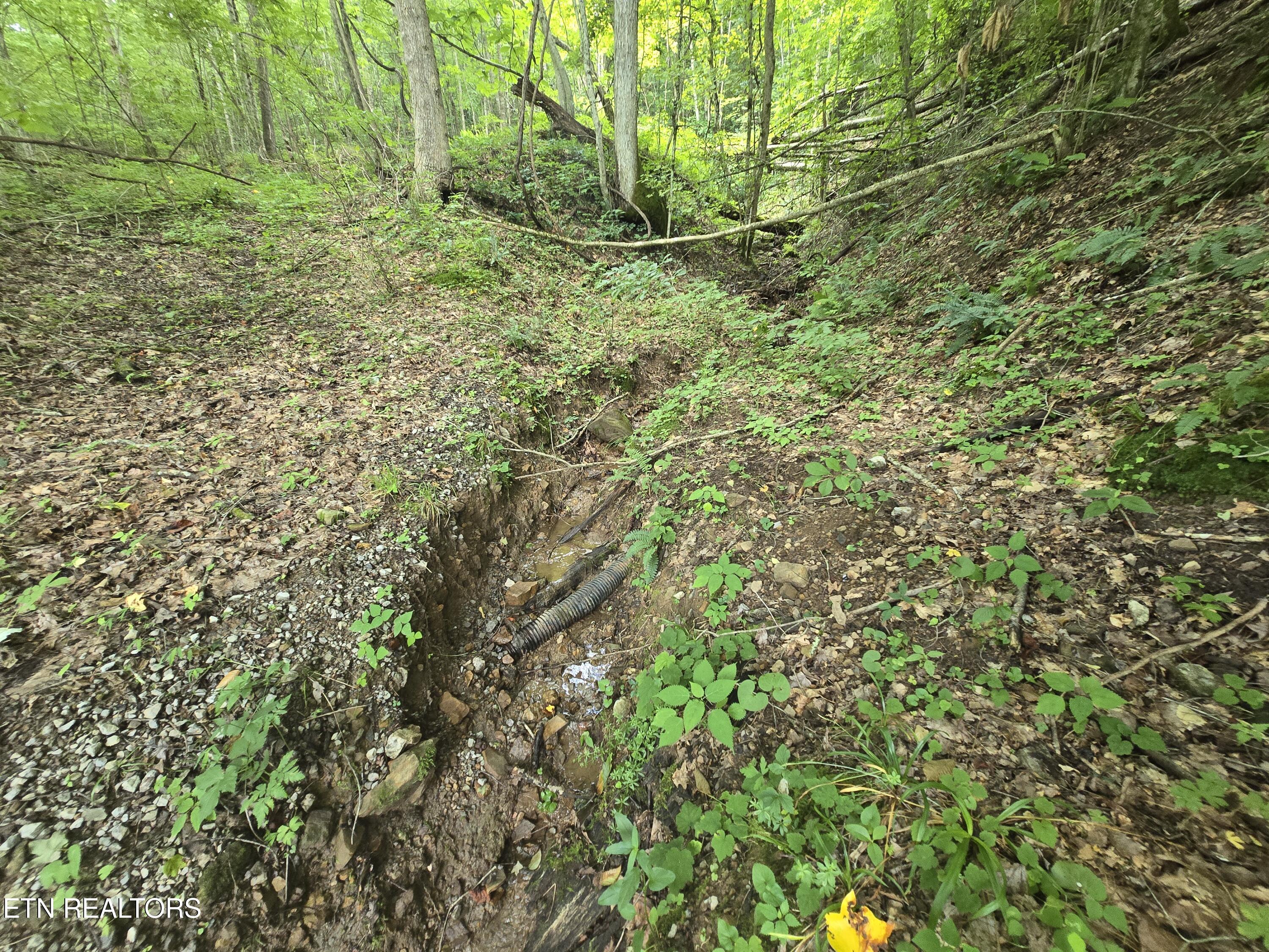 Image 4: 20250627_181522