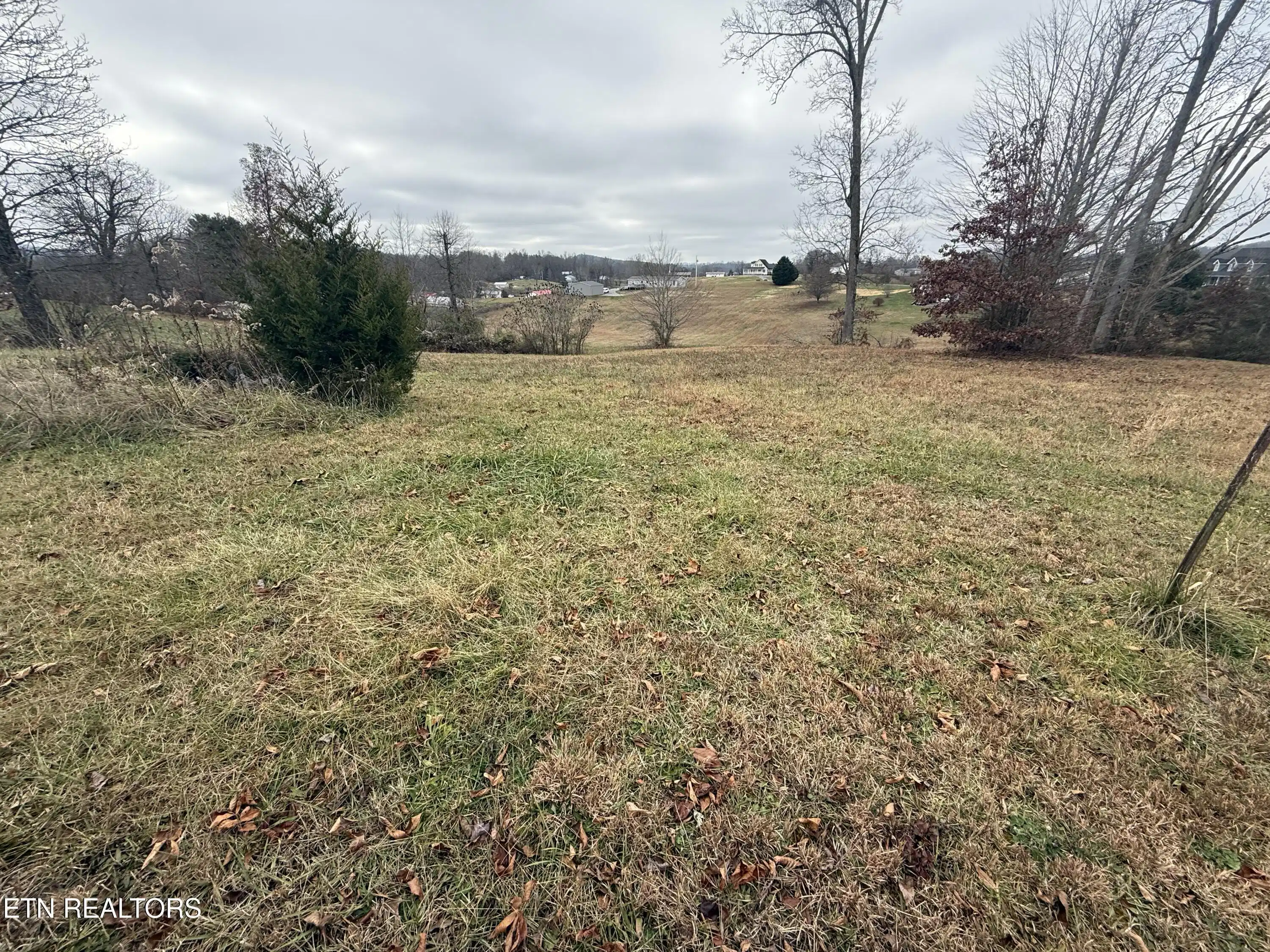 Image 1: IMG_3428