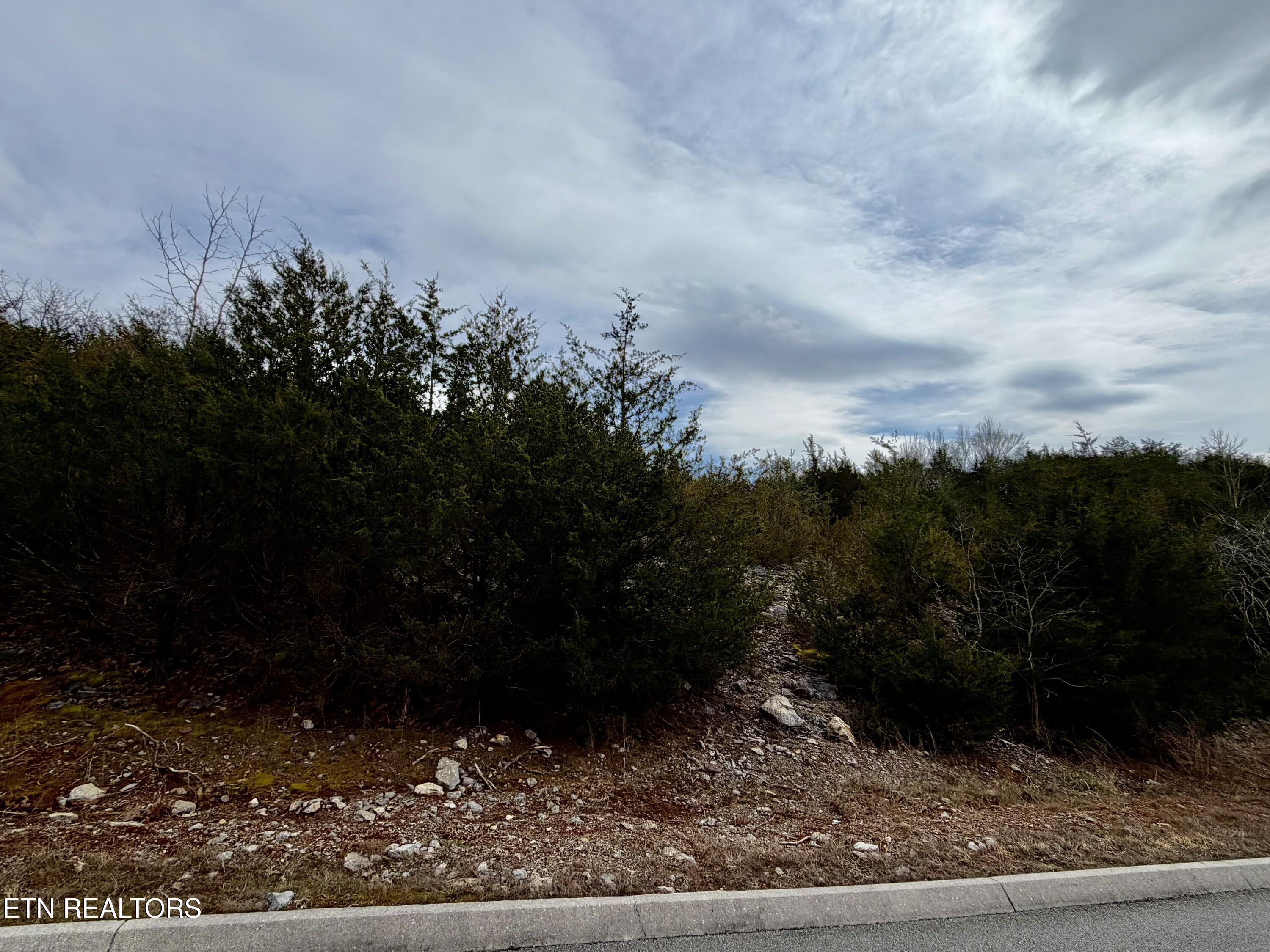 Image 3: IMG_2529