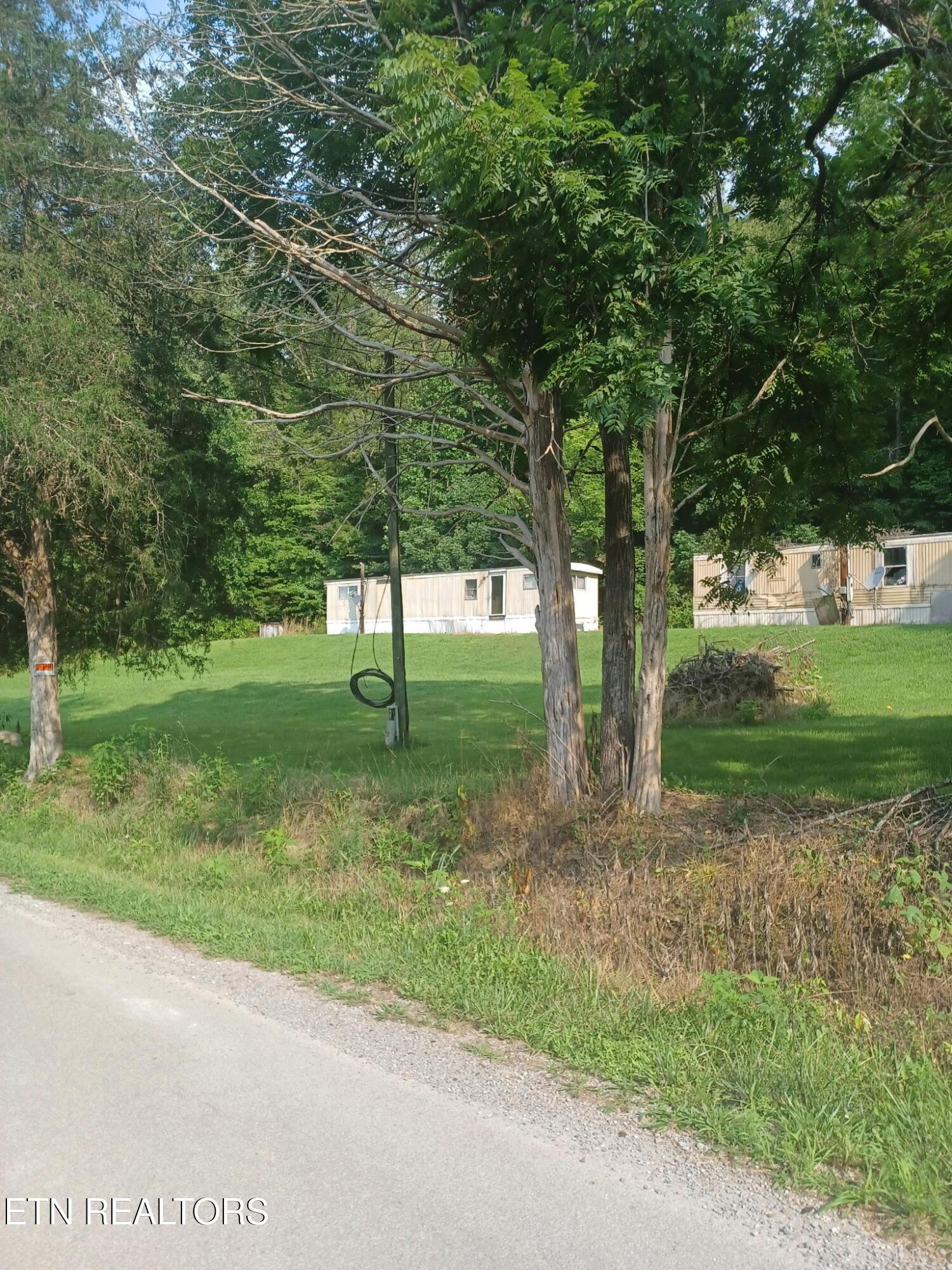 Image 3: 20260729_100422