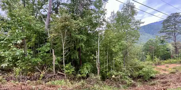 Lot 97 Bluff Ridge Rd