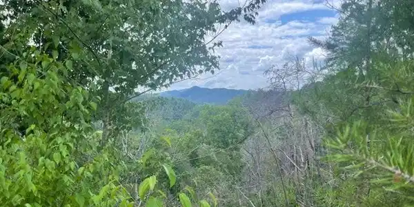 Lot 4 River Birch Way