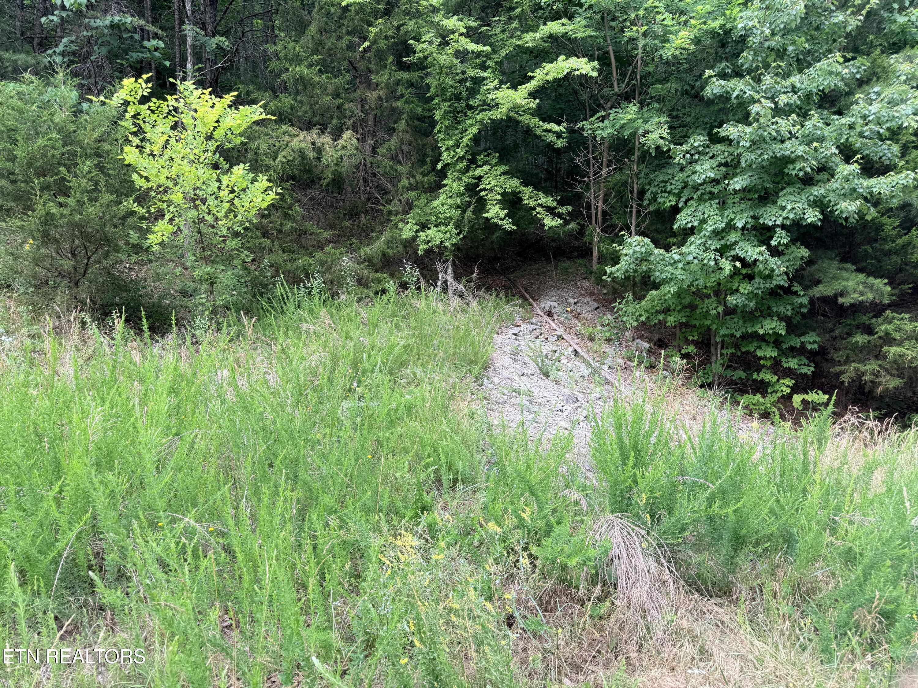 Image 4: Access Road