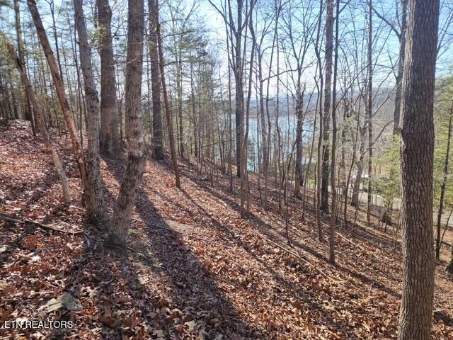 Image 1: Deer Pond Circle Lots 7, 8, & 9 (1)