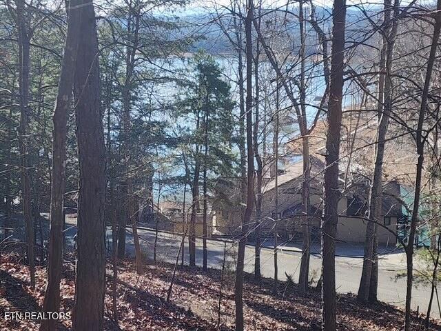 Image 4: vDeer Pond Circle Lots 7, 8, & 9 (1)