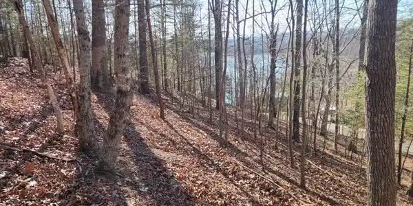 Image 2: Deer Pond Circle Lots 7, 8, & 9 (1)