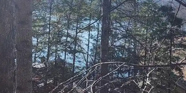 Image 4: Deer Pond Circle Lots 7, 8, & 9 (1)