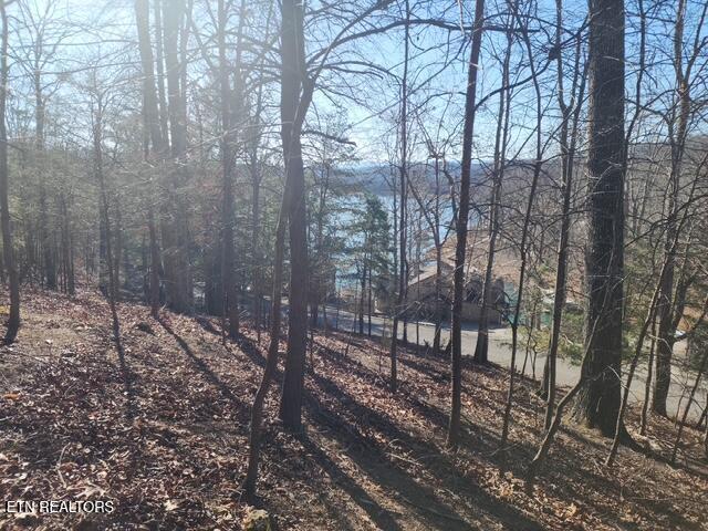 Image 3: Deer Pond Circle Lots 7, 8, & 9 (1)