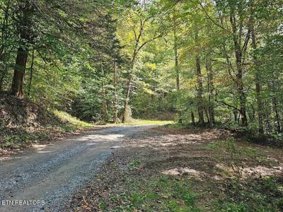 73.87ac Mill Hollow Rd