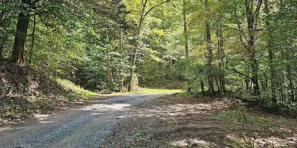 73.87ac Mill Hollow Rd