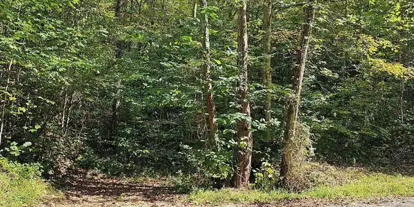 Image 3: pic6