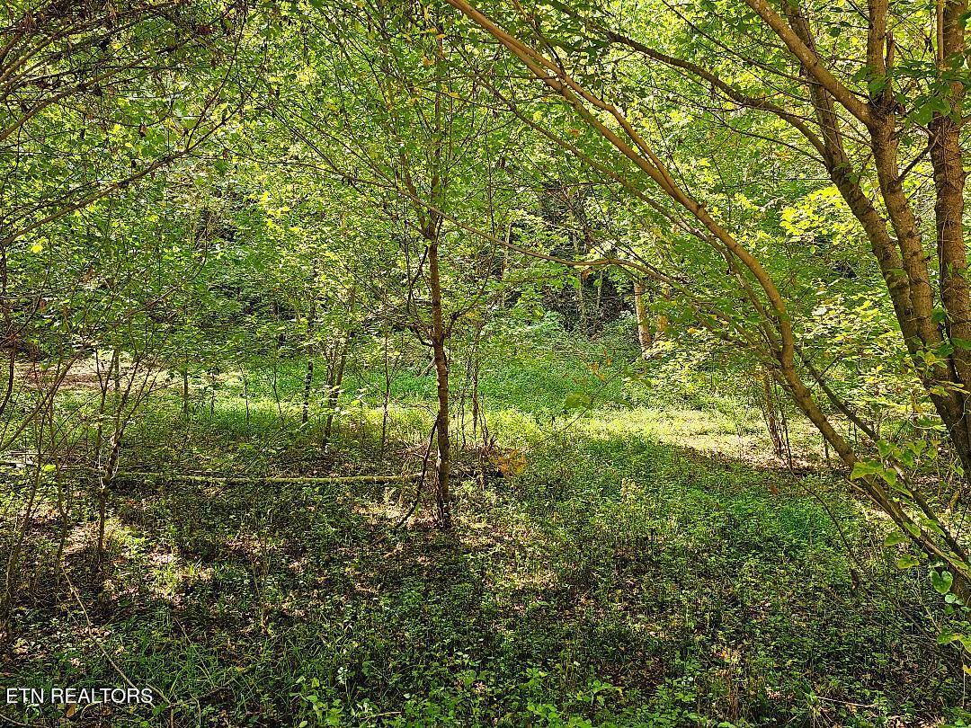 Image 4: pic9