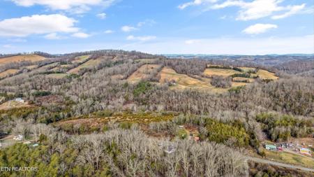 3730 Highway 131