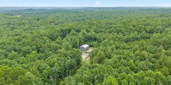 Image 3: 6-web-or-mls-144 charles jones--18