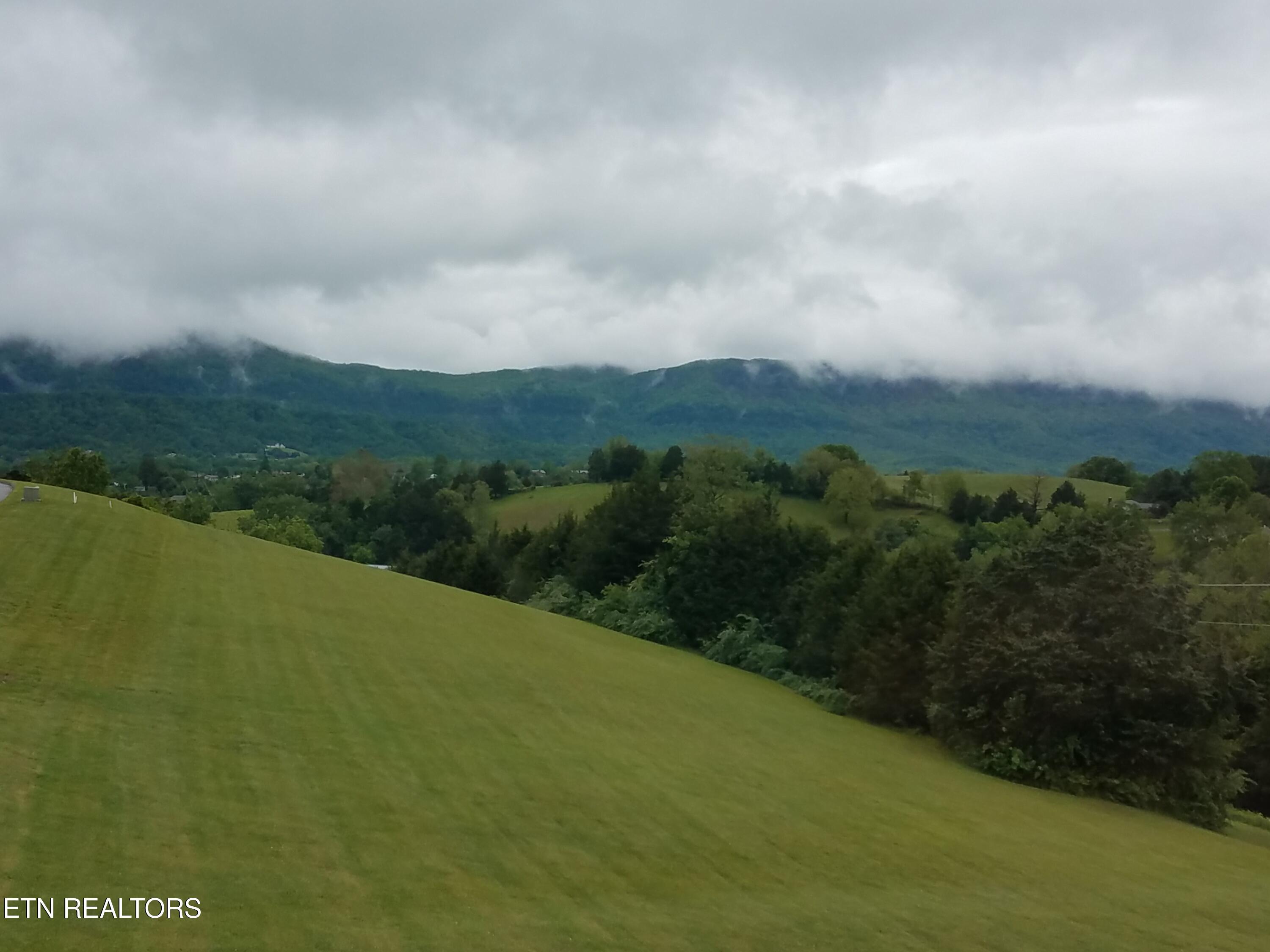 Image 3: Spring 2020 570
