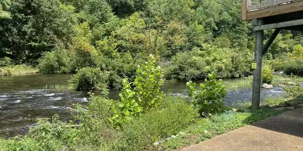 Image 2: River View