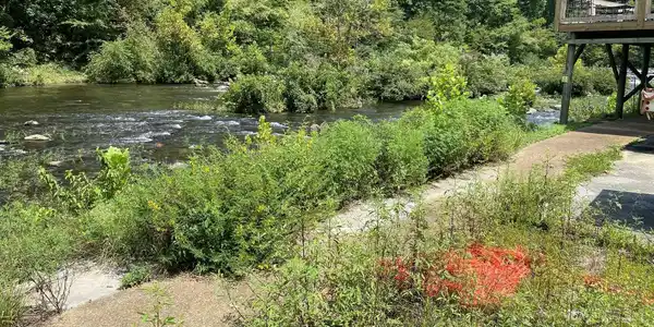 Image 3: River View