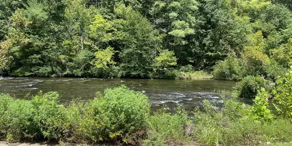 Image 4: River View