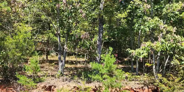 lot 609 Chimney Rock Rd