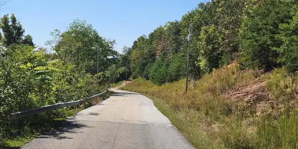 Image 2: At the road