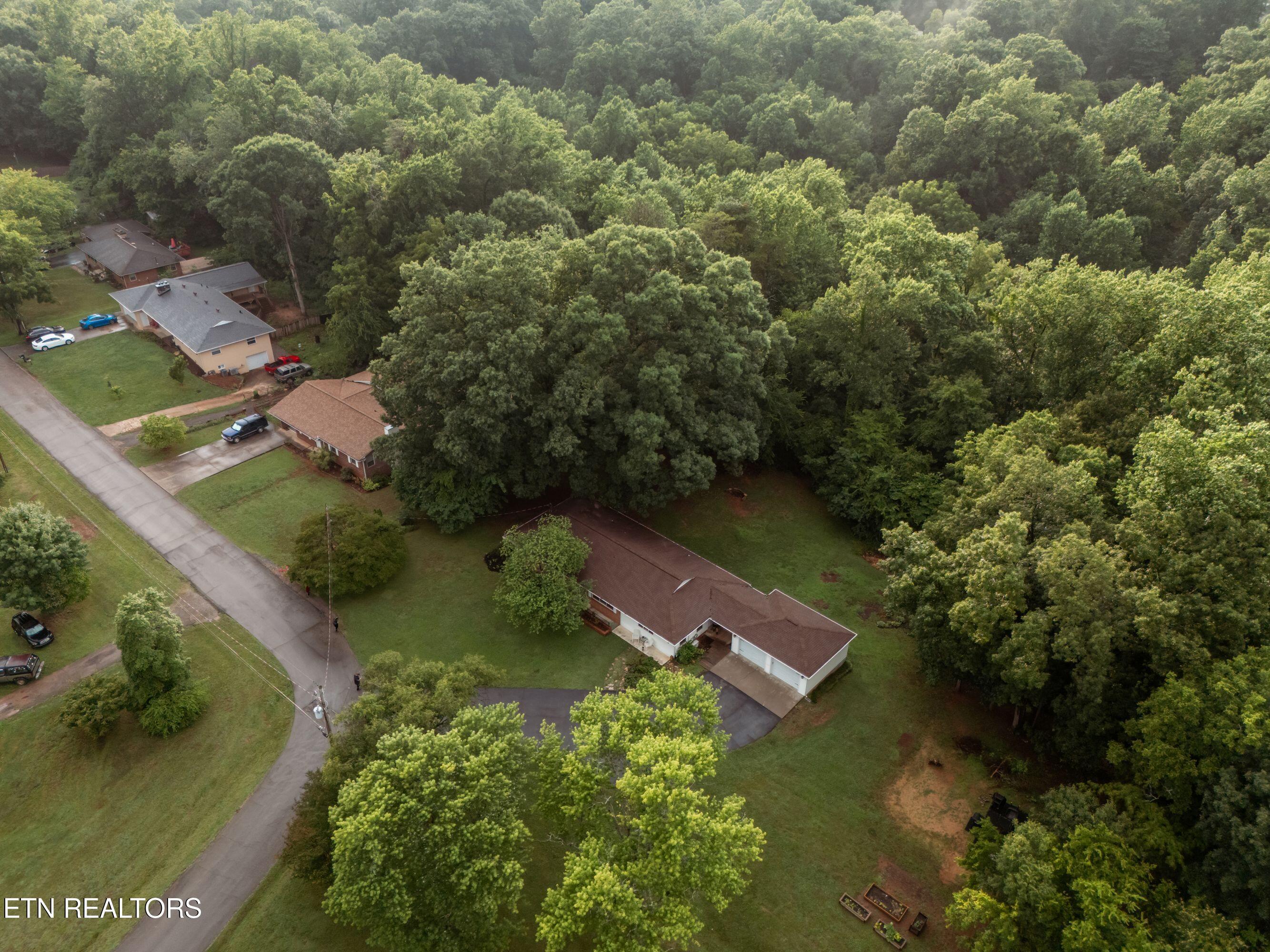 Image 3: Aerial View