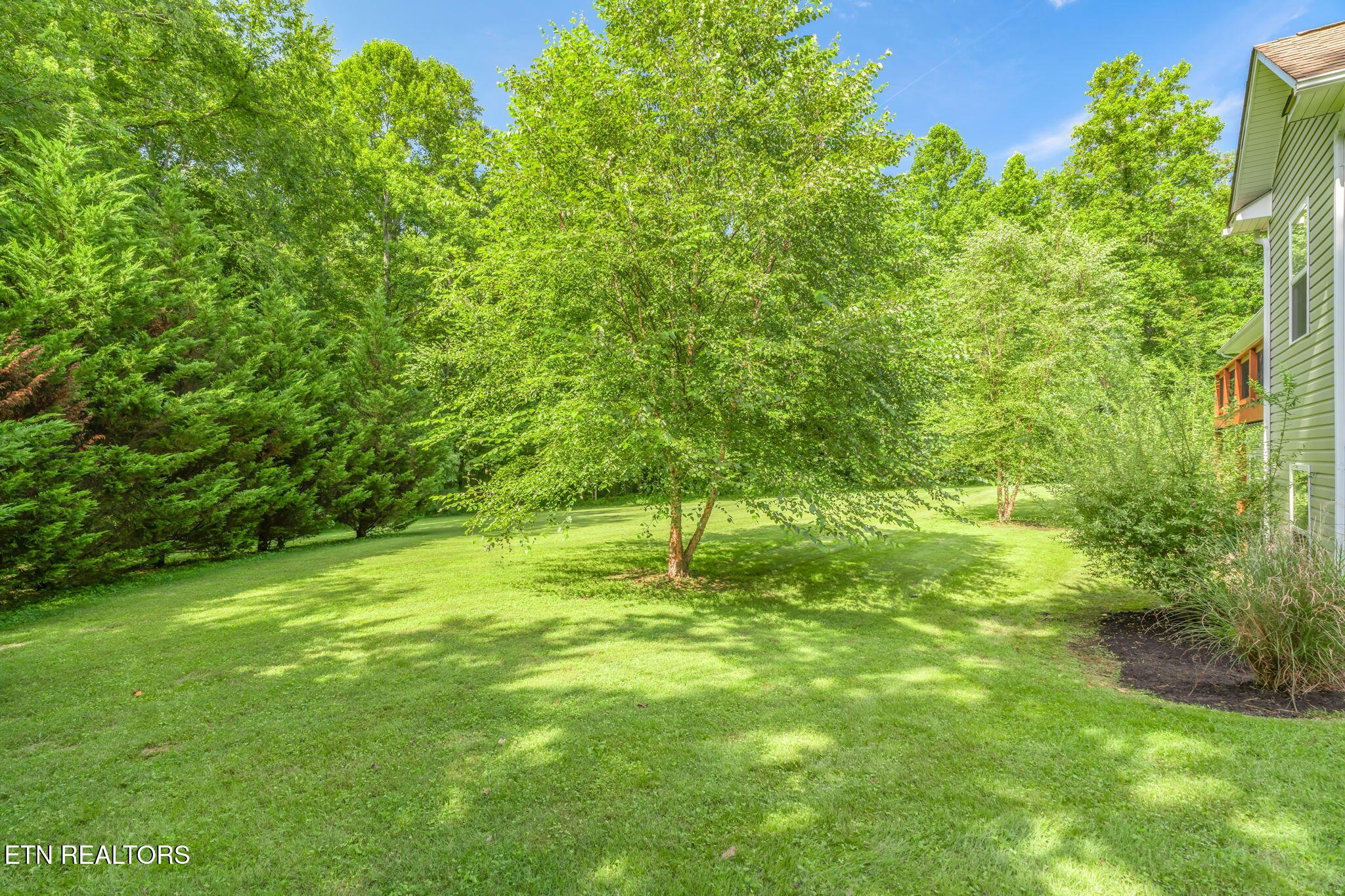 Image 4: 61-web-or-mls-179 Champ West Road-62