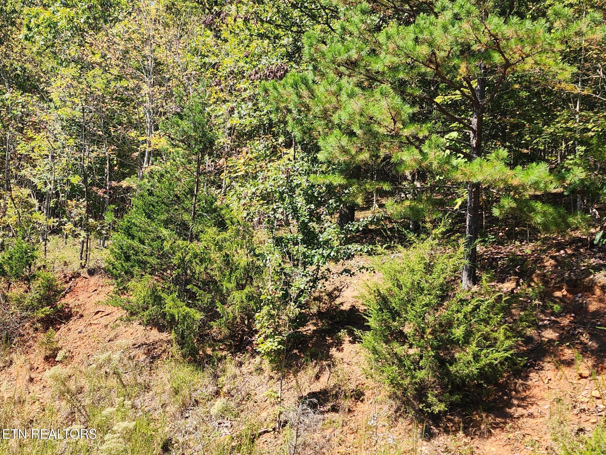 Image 4: 180&#176; lake views mid lot and higher