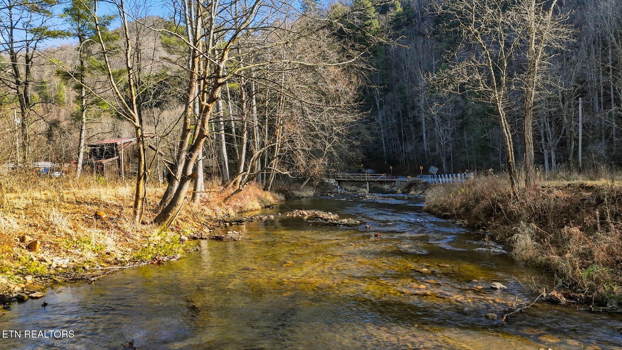 Image 3: IMG_0126