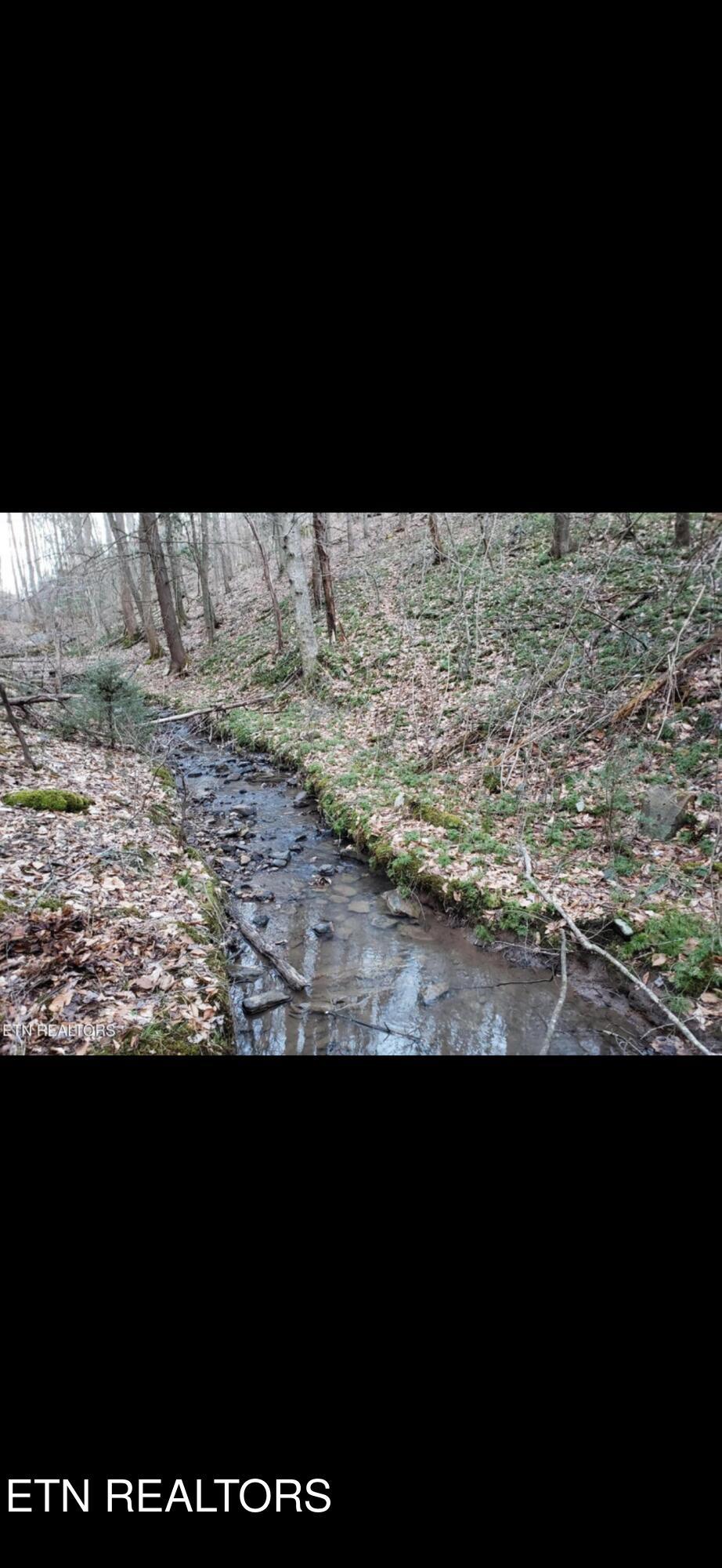 Image 3: IMG_6666