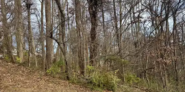 Image 3: sequoyah3