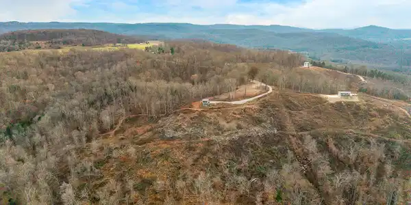 Image 2: baldknobrd8