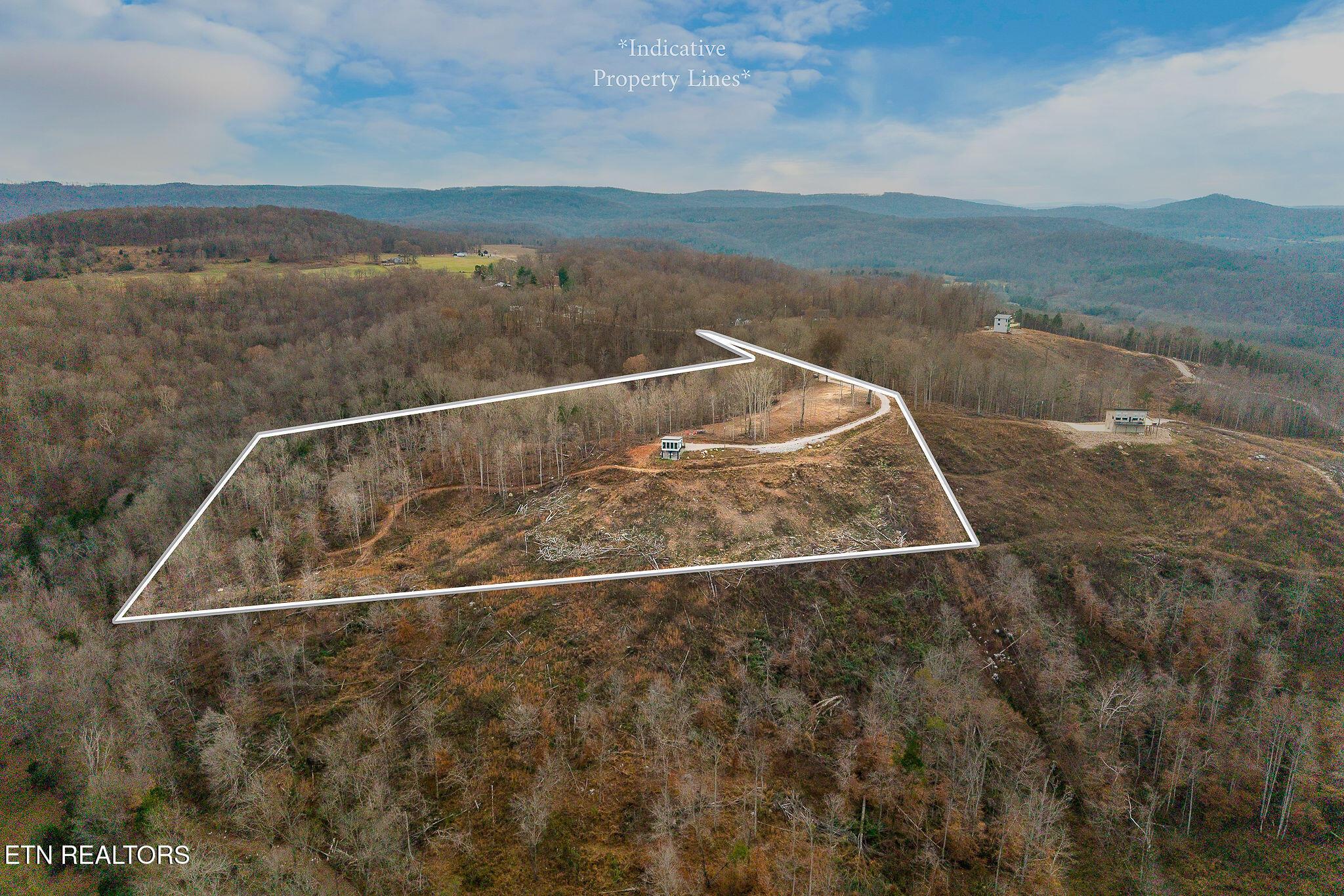 Image 3: baldknobrd9