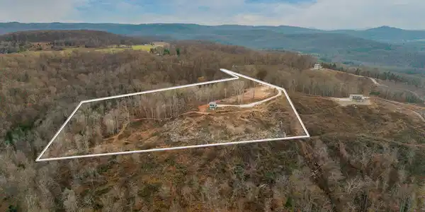 Image 3: baldknobrd9
