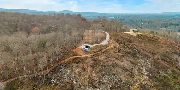 Image 4: baldknobrd7