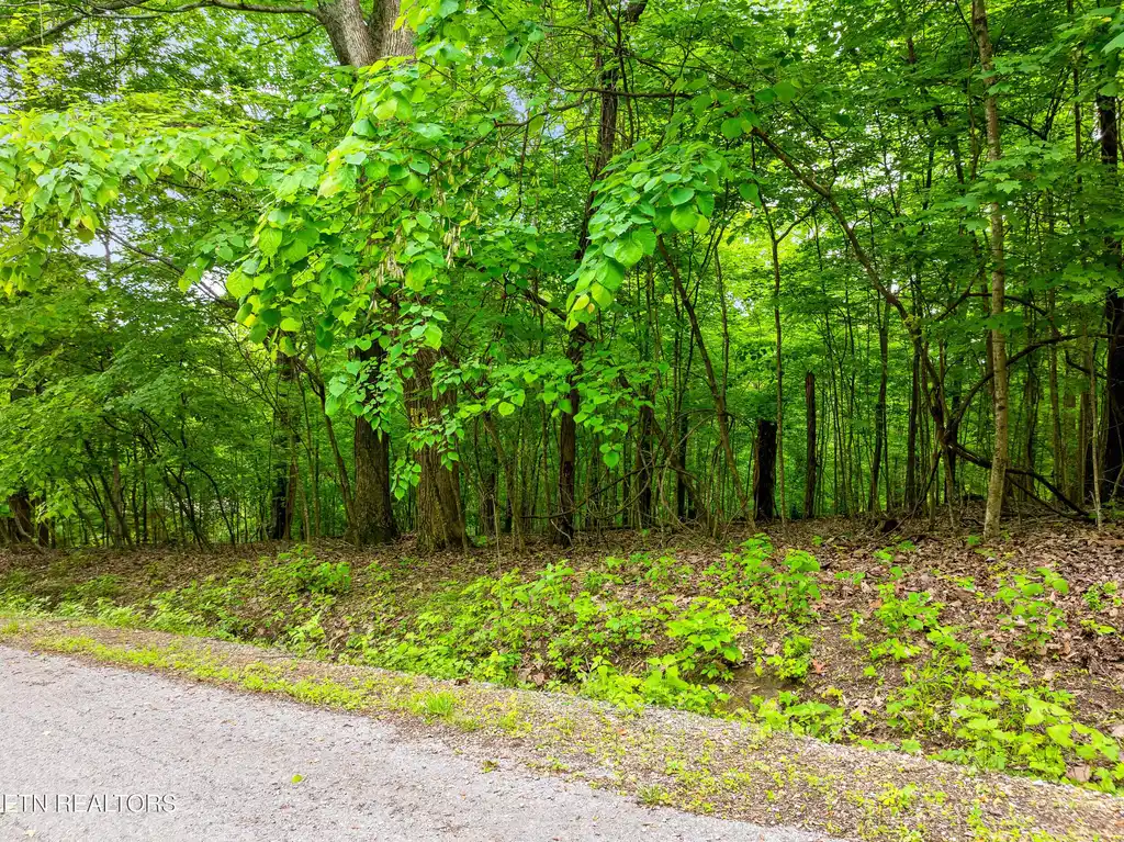 Image 1: running deer trail lot-1