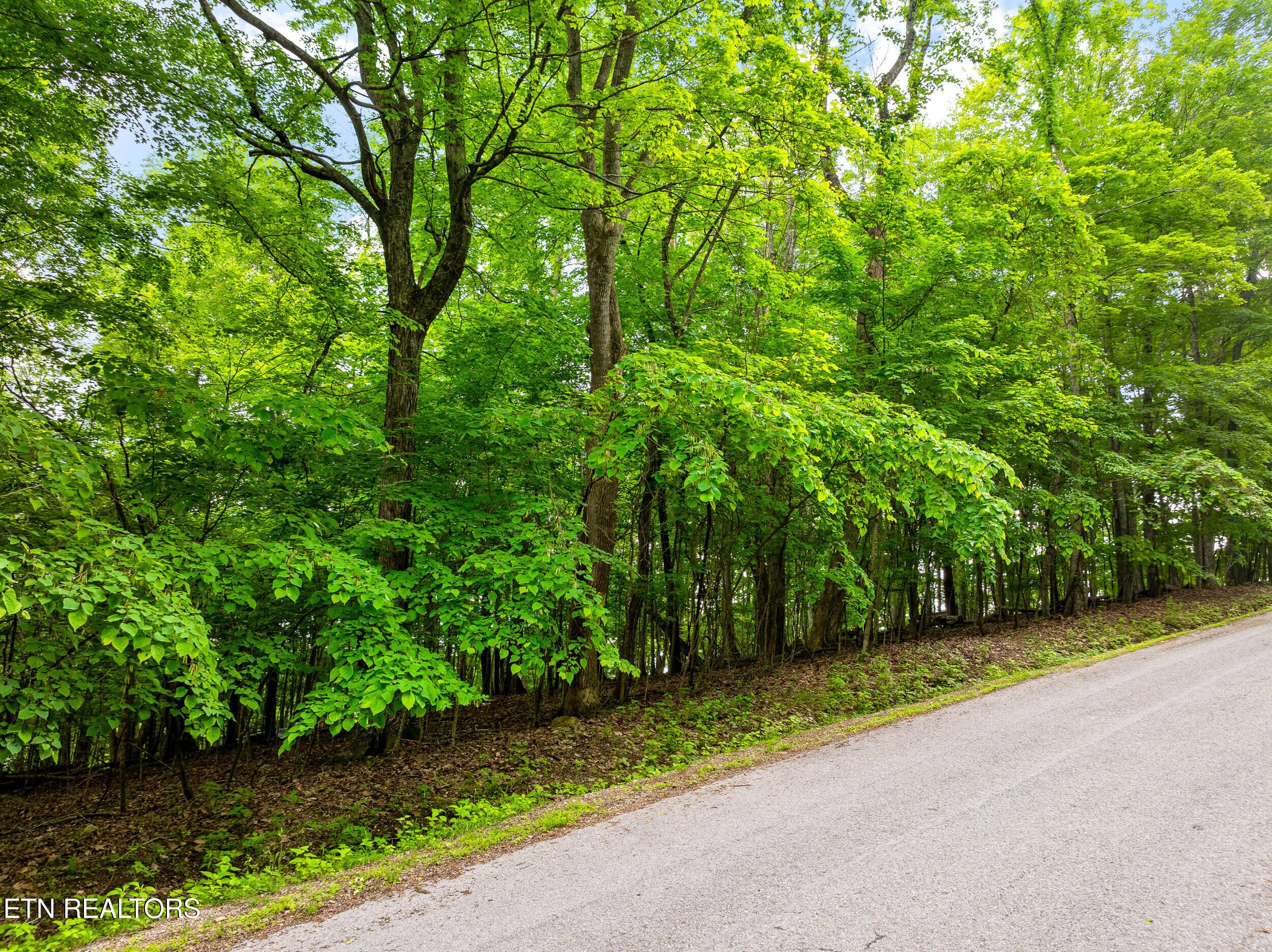 Image 2: running deer trail lot-2