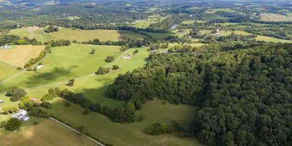 Image 3: DJI_20260805102234_0309_D
