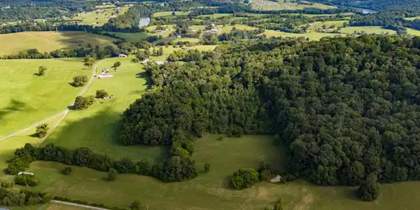 Image 4: DJI_20260805102258_0310_D
