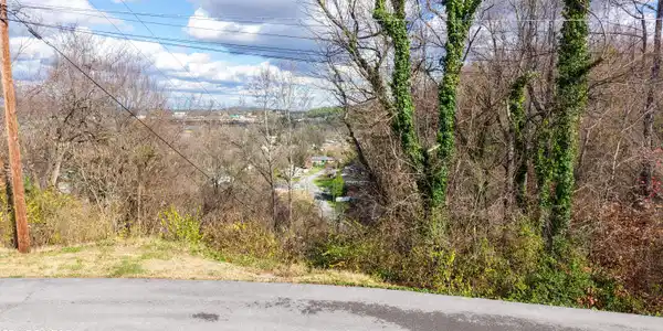 Lot 25 Scenic Loop Rd