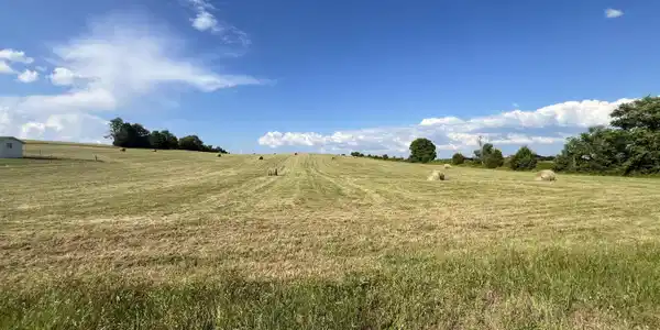 9.32 Acres Off Sam Martin Road