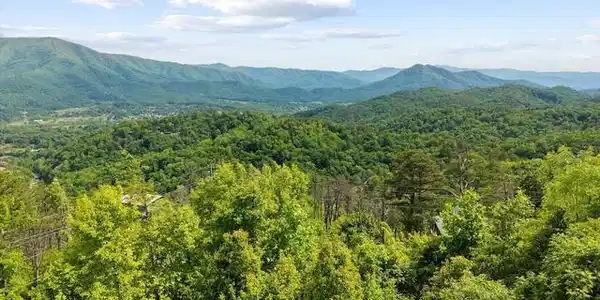 Hatcher Mtn Rd