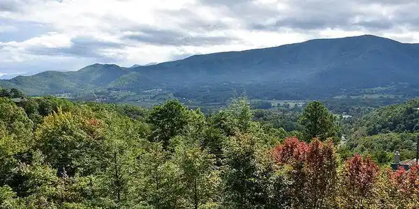 Image 2: View from lot 73 and 74