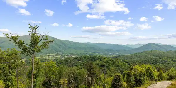 Image 4: View from 73 and 74