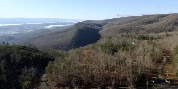 Image 2: DJI_0356