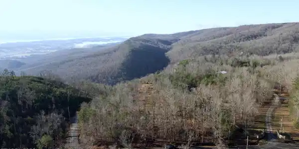 Image 3: DJI_0358
