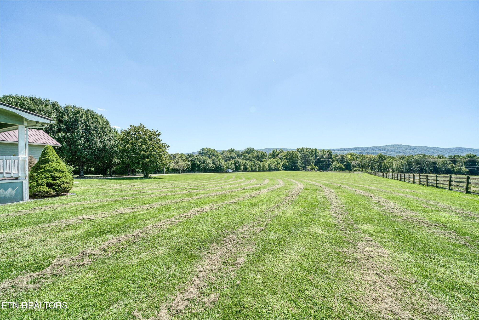 Image 4: 06-113 Swan Rd_029_TNPC