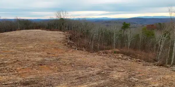 Laurel Bluff Rd