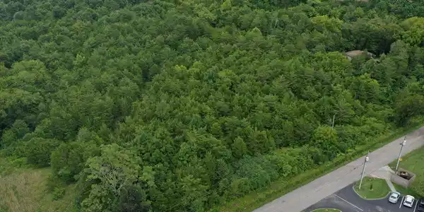 Image 4: 220 Milldale Rd - Pic 3