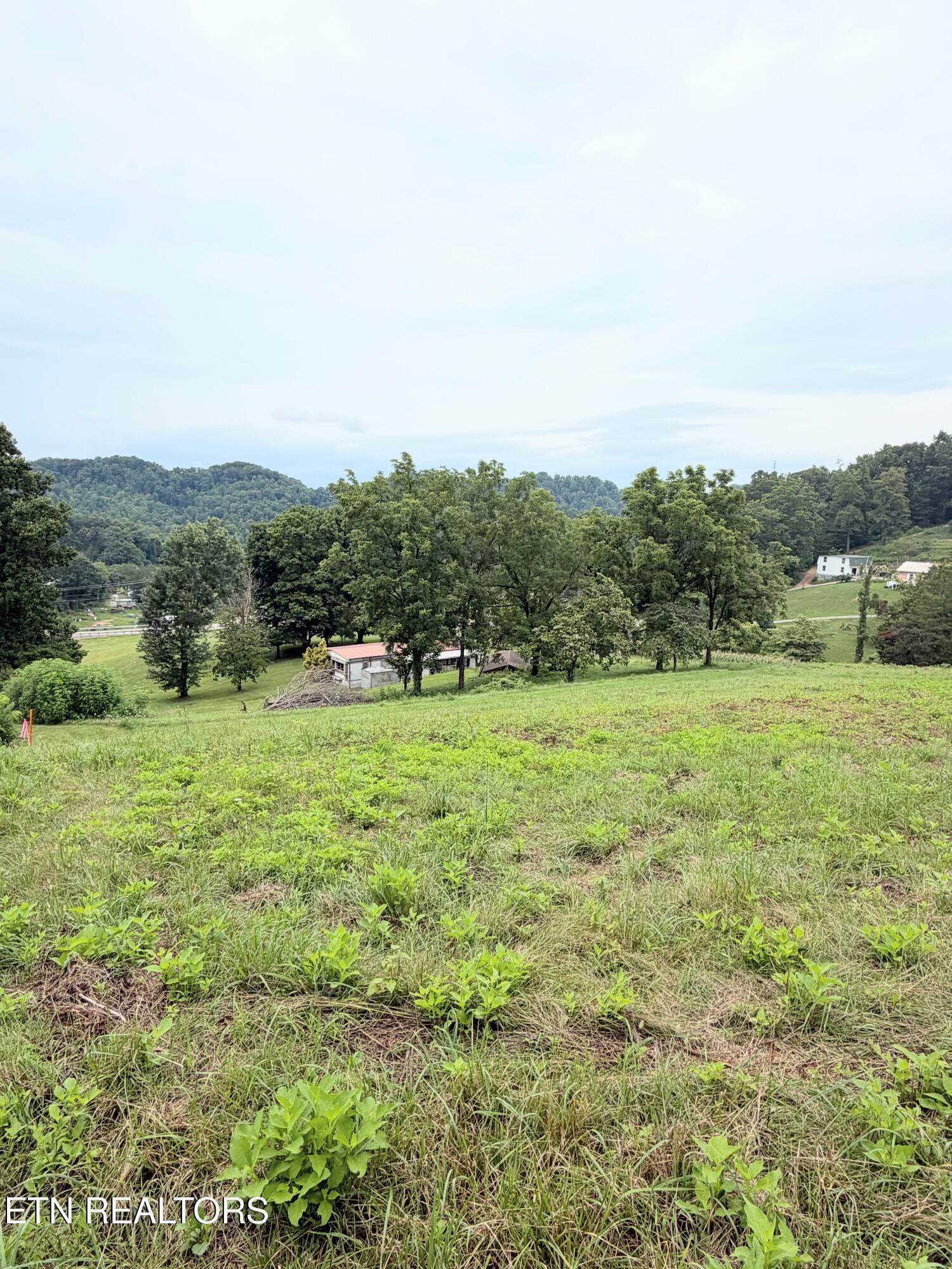 Image 4: IMG_2122