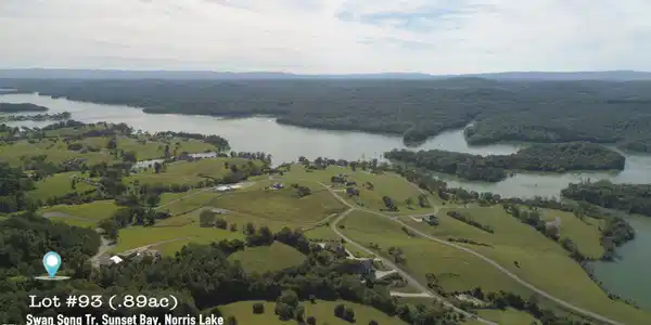 Image 3: L#93 Swan Song, Sunset Bay, Norris Lake